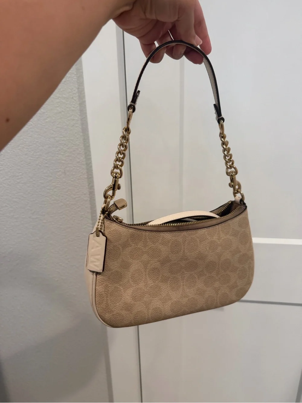 Coach signature canvas